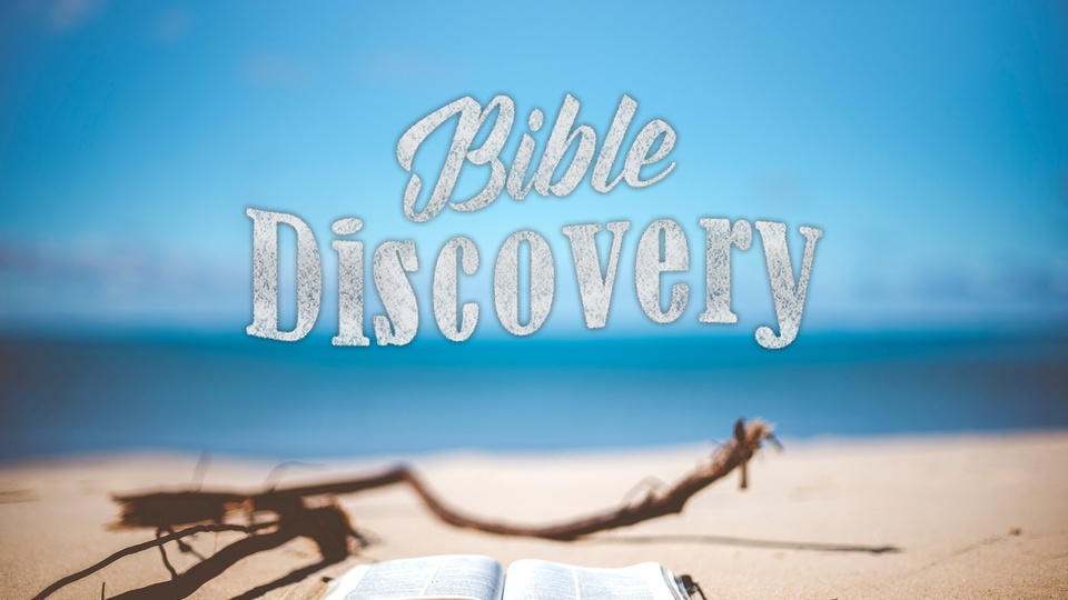 Bible Discovery