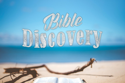 Bible Discovery